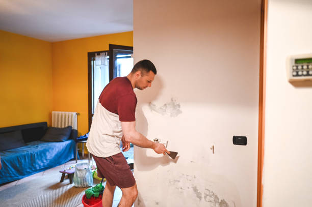 Best Fast Mold Removal  in Wood River, IL